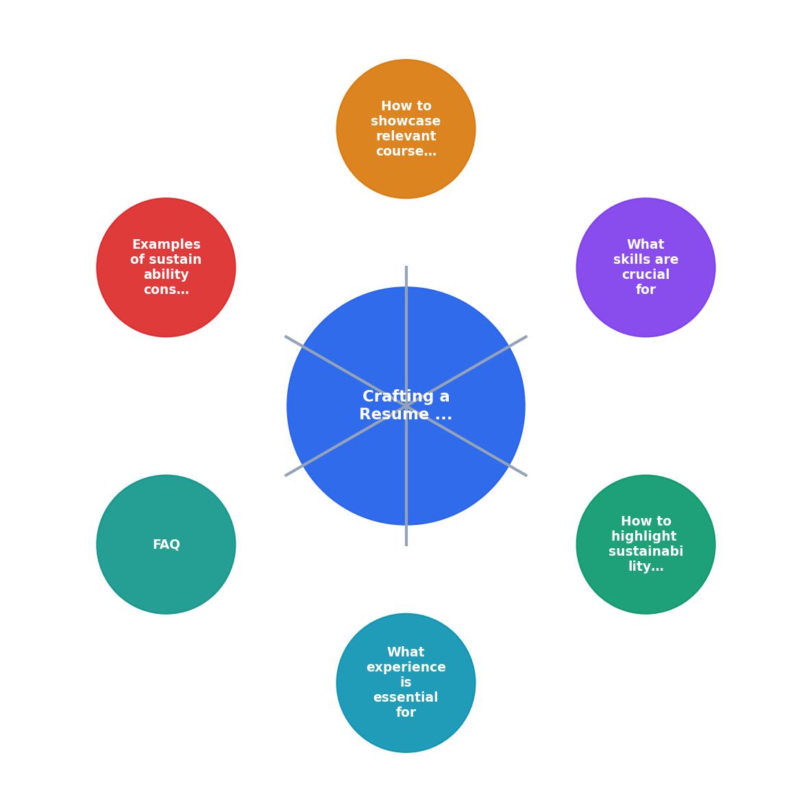 Crafting a Resume for a Sustainability Consultant process