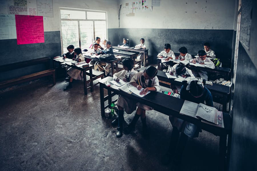 curriculum development
