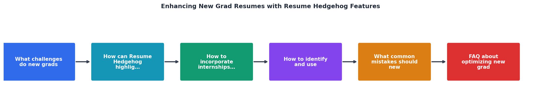 Enhancing New Grad Resumes with Resume Hedgehog Features process