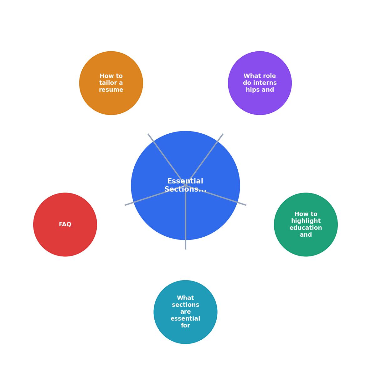 Essential Sections for a New Grad Resume process