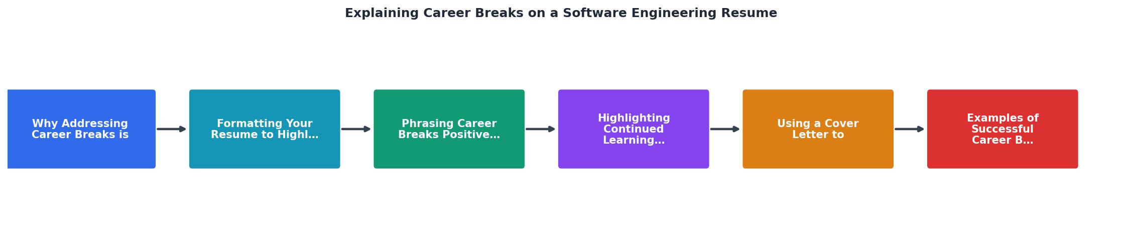 Explaining Career Breaks on a Software Engineering Resume process