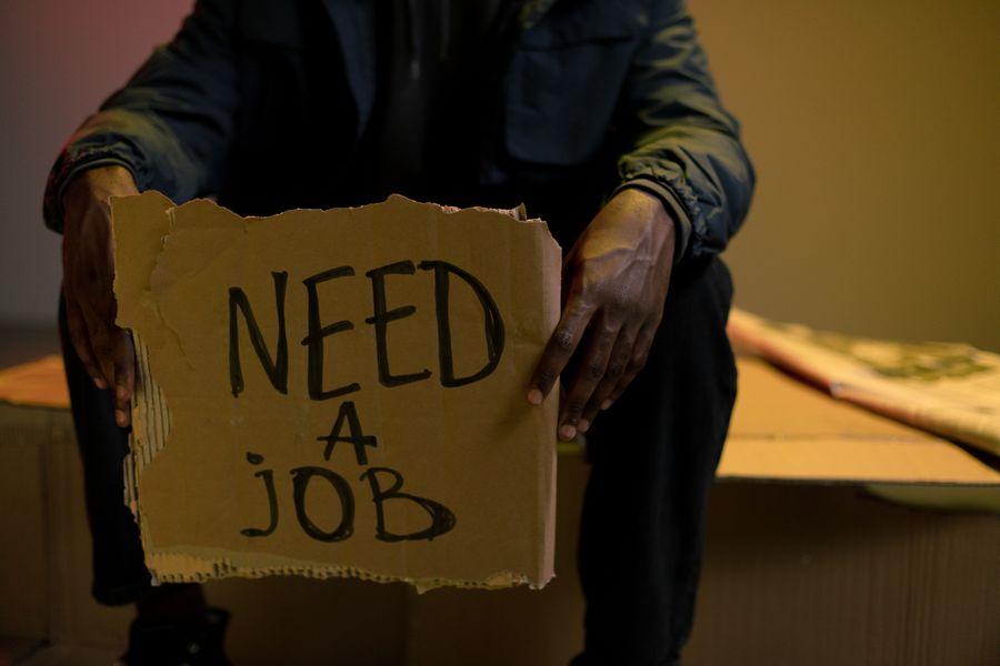 job search