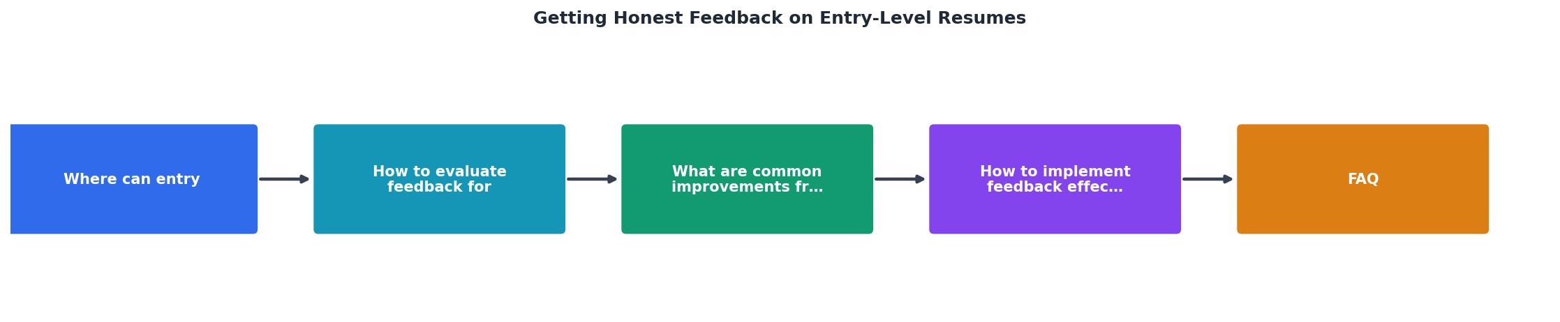Getting Honest Feedback on Entry-Level Resumes process