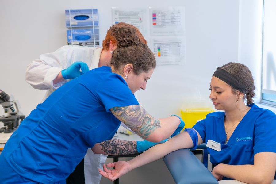 healthcare skills