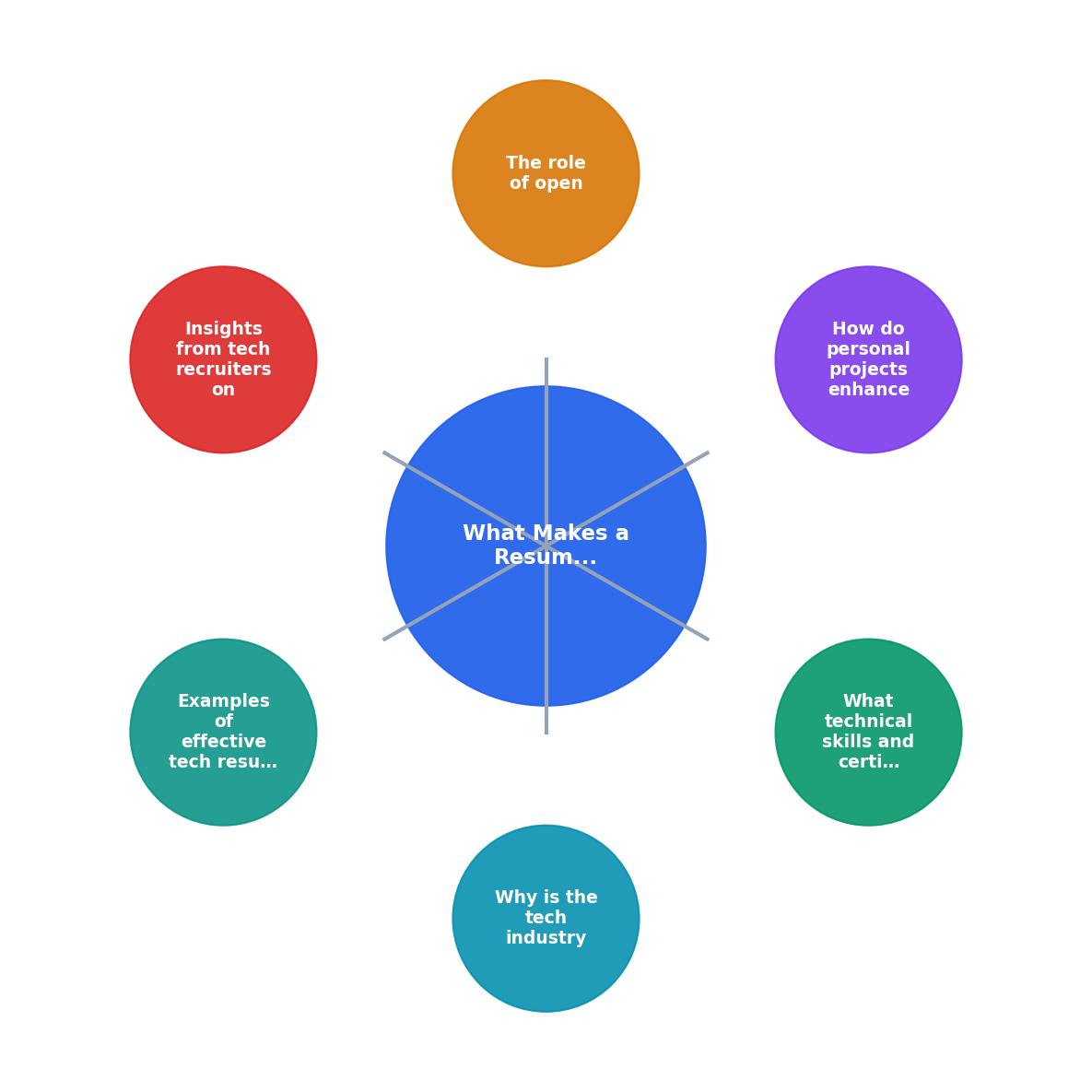 What Makes a Resume Stand Out in the Tech Industry process