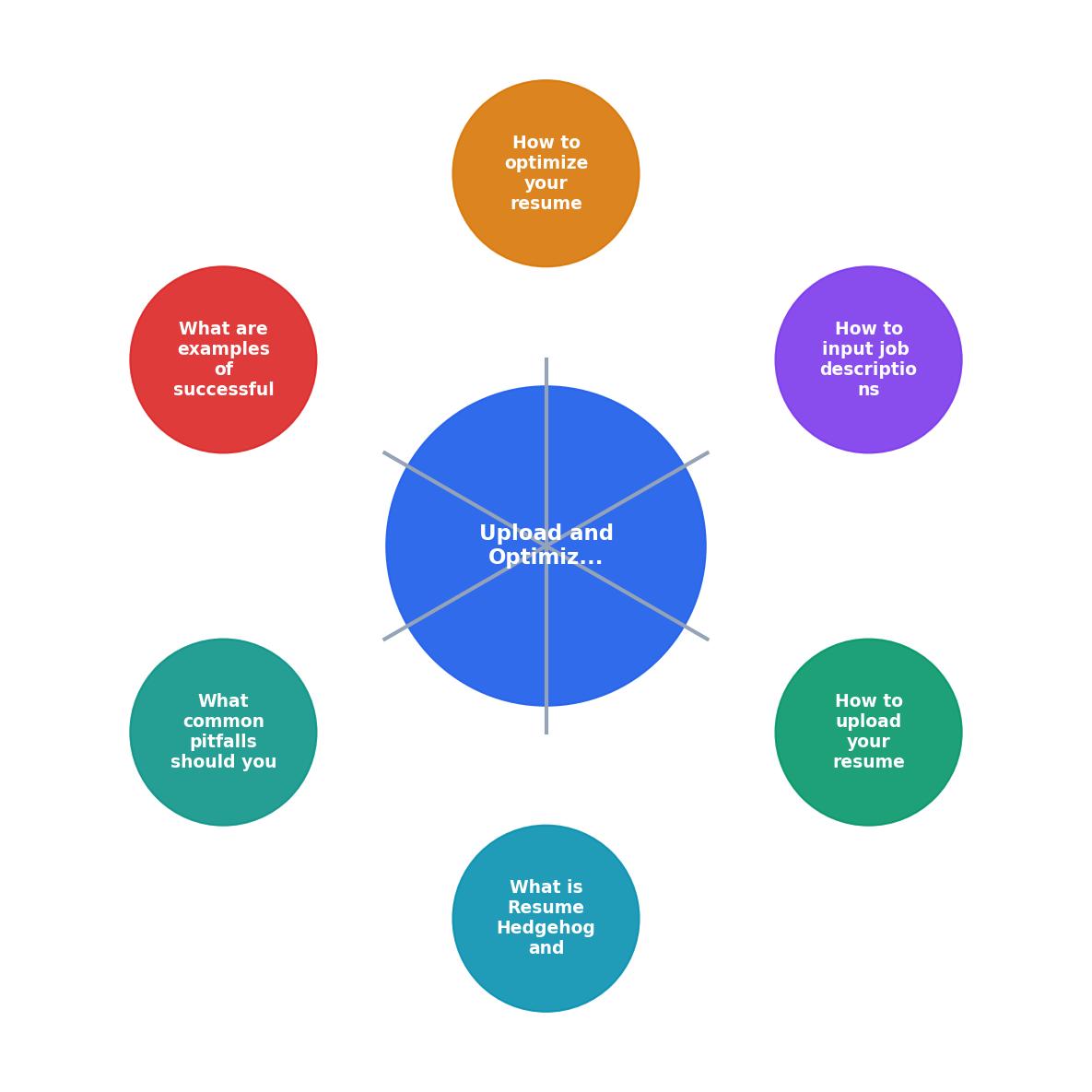 Upload and Optimize Your Resume with Resume Hedgehog process